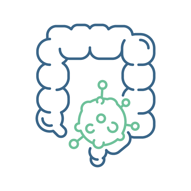 Colon Cancer Icon